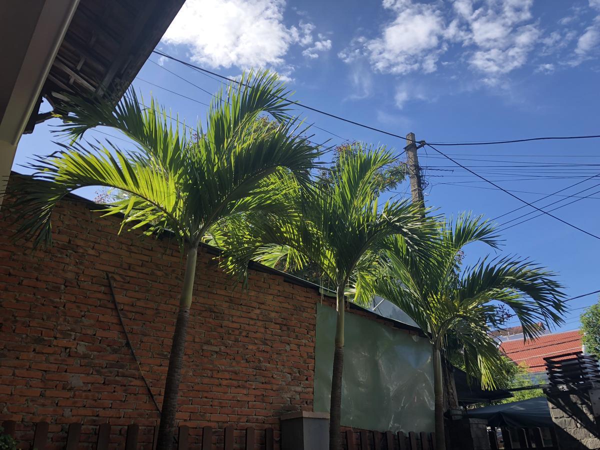 Three Palms Homestay 호이안 외부 사진